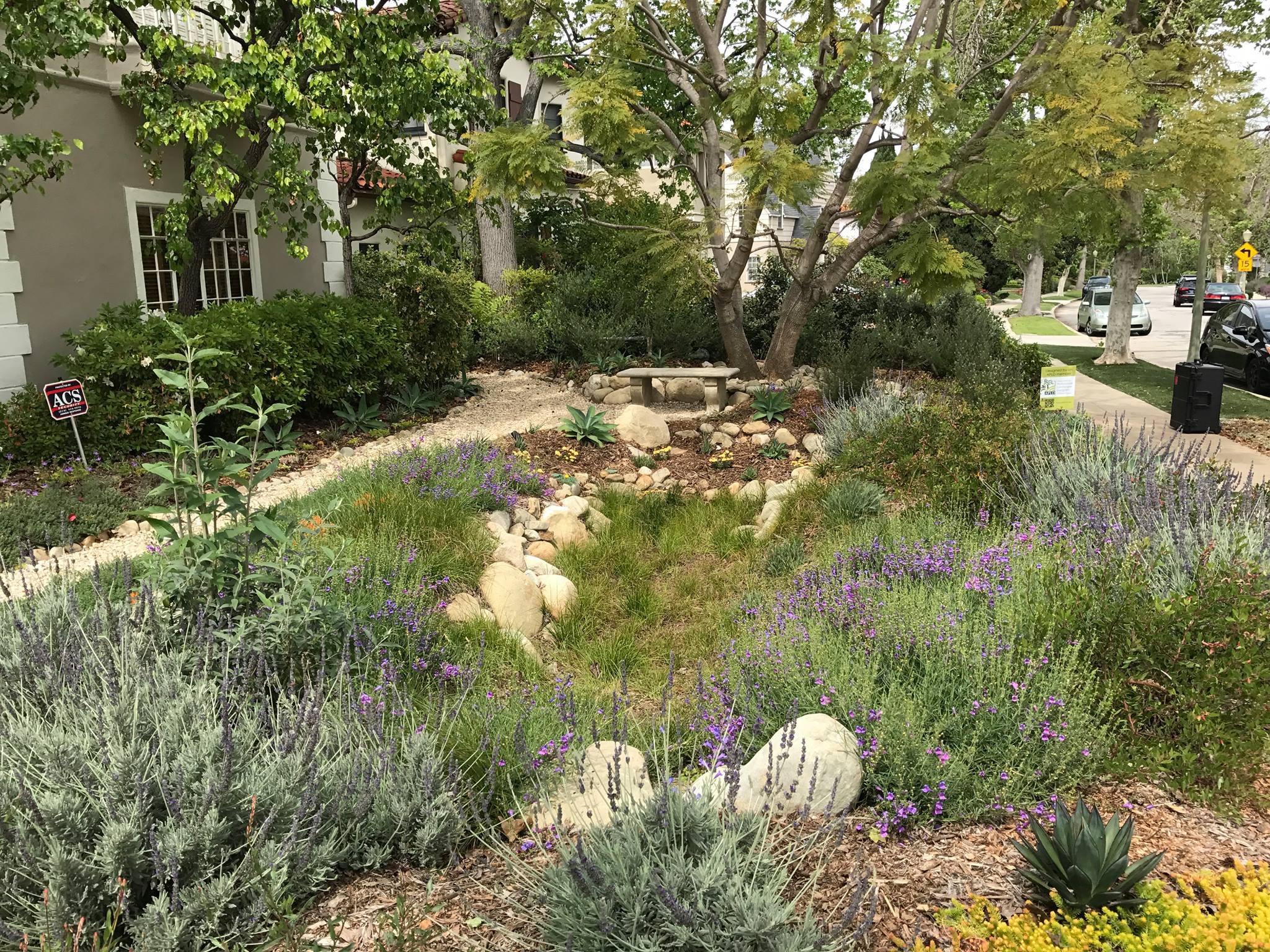 Ocean friendly garden in front yard of home